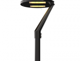 părți luminoase de grădină